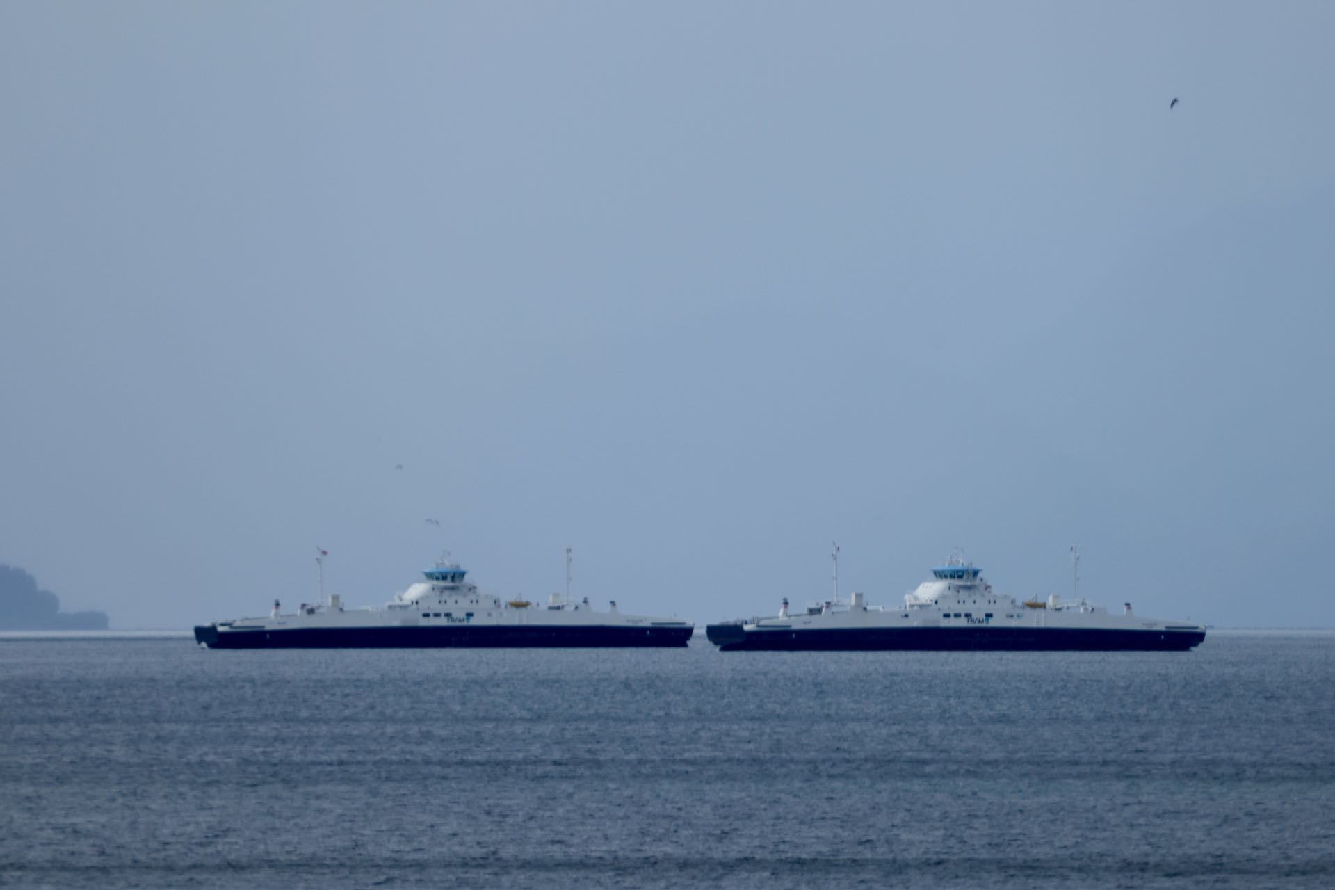 0P6A7367