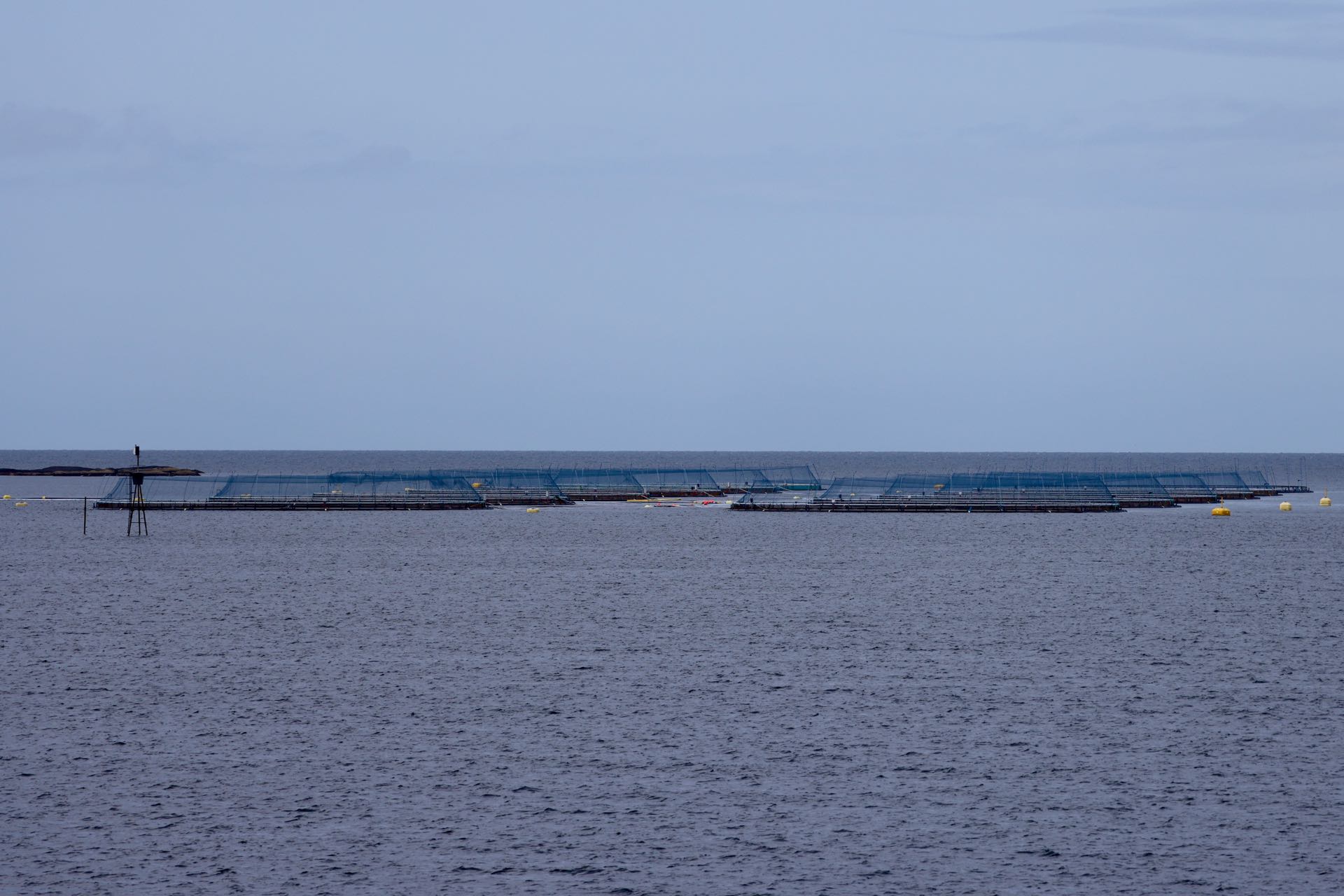 0P6A7449