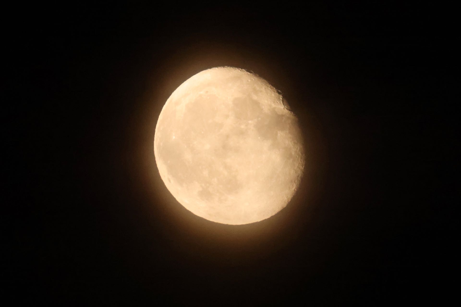 0P6A6866